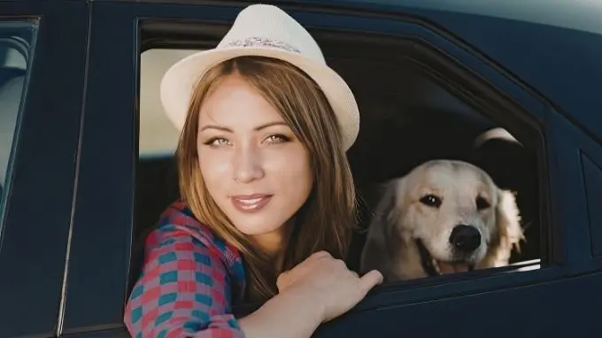 Persona viajando con su perro en el coche

