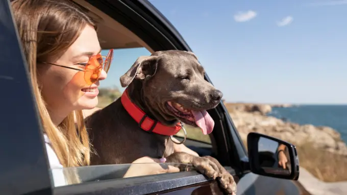 Perro y su dueña mirando por la venta del coche