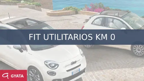 Fiat Utilitarios