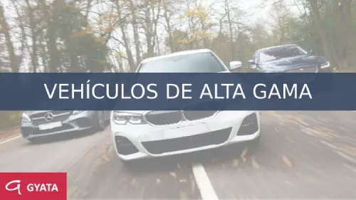 Vehículos de alta gama