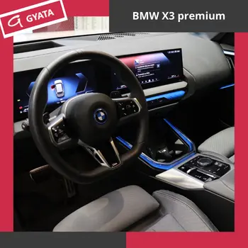 Coches BMW X3 premium a buen precio