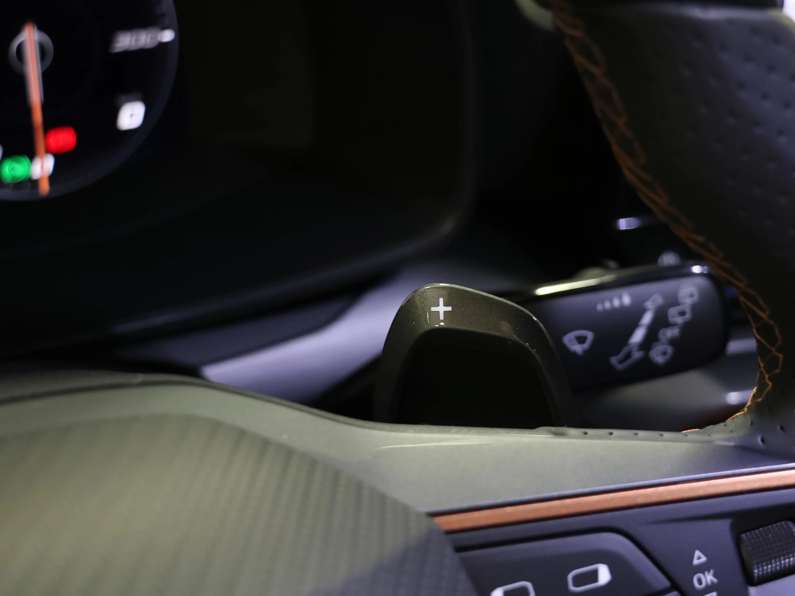 CUPRA Formentor 2.5 TSI VZ5 4Drive DSG 287 kW (390 CV) - Foto 45