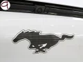 Thumbnail 37 del Ford Mustang Mach-E AWD Batería 98.8Kwh 258 kW (351 CV)