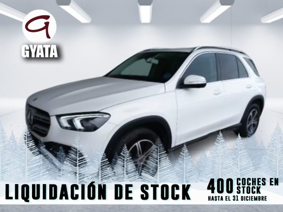 Mercedes-Benz Clase GLE GLE 300 d 4Matic 180 kW (245 CV)