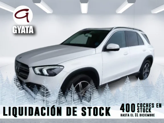 Mercedes-Benz Clase GLE GLE 300 d 4Matic 180 kW (245 CV)