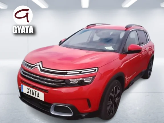 Citroen C5 Aircross BlueHdi 130 SANDS Feel EAT8 96 kW (131 CV)