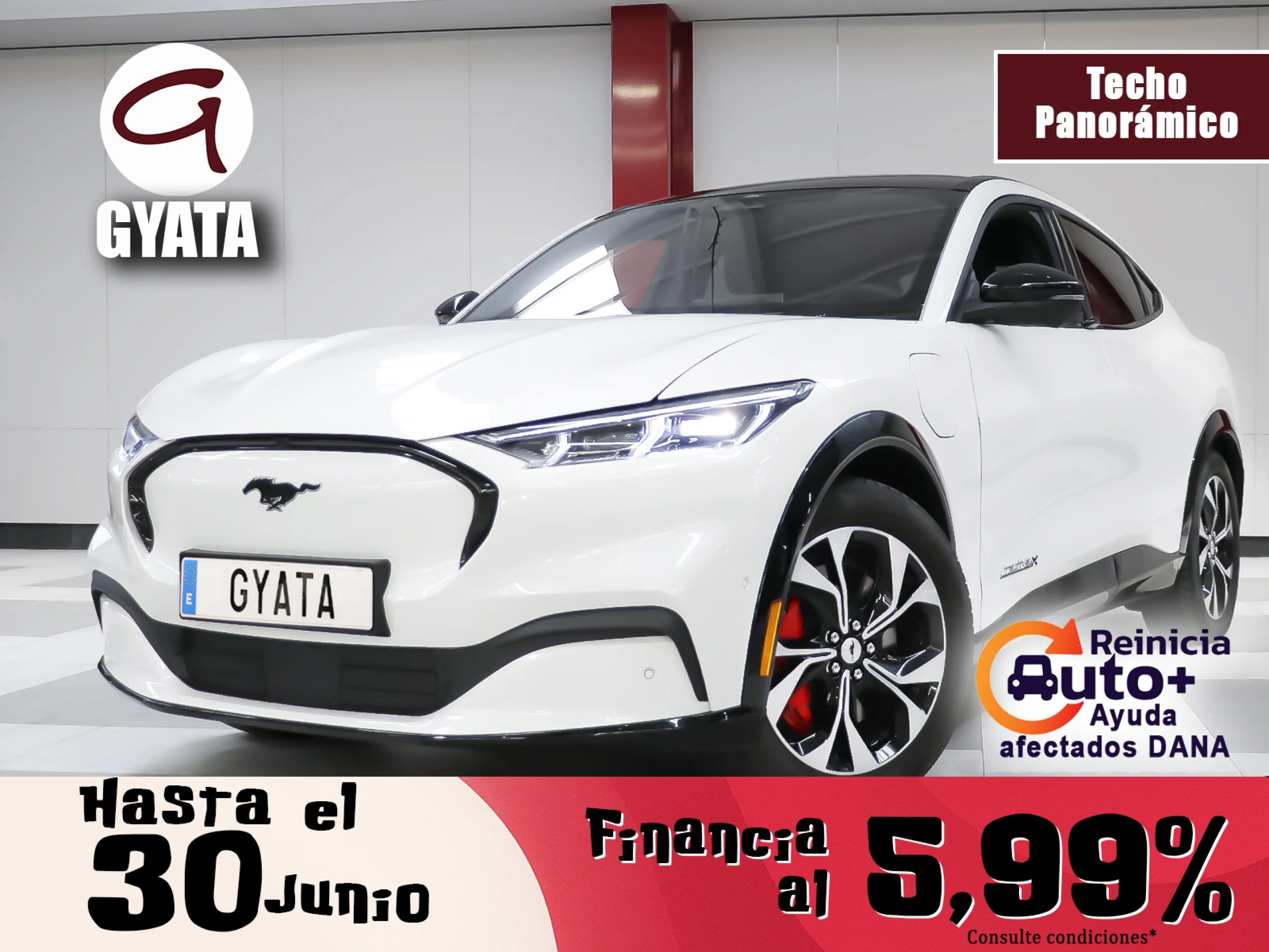 Ford Mustang Mach-E AWD Batería 98.8Kwh 258 kW (351 CV) - Foto 1