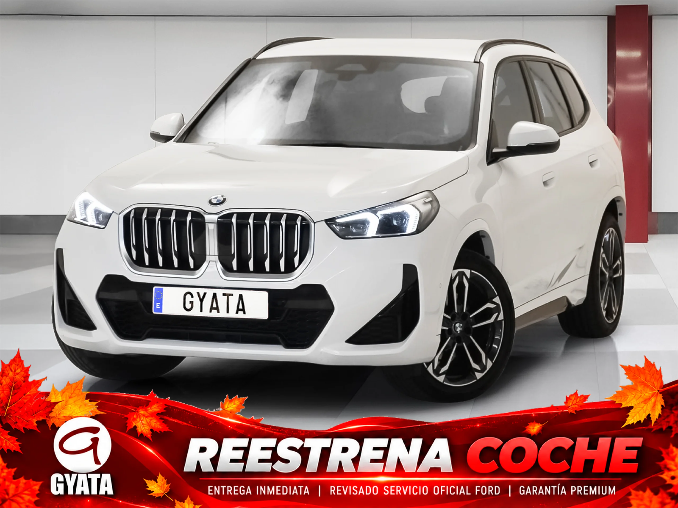 BMW X1 sDrive20d 120 kW (163 CV) - Foto 1