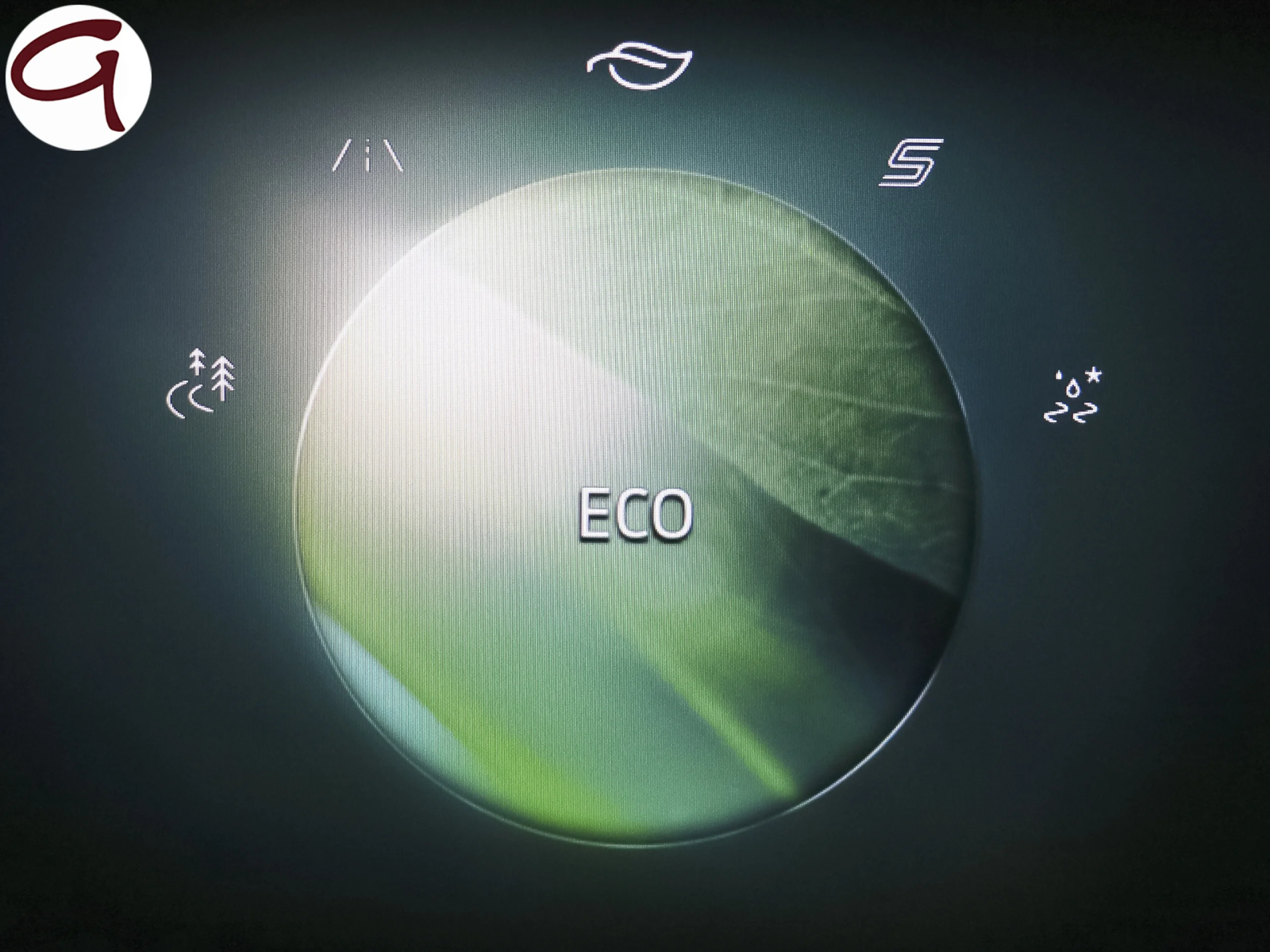 Ford Puma 1.0 EcoBoost MHEV ST-Line X 92 kW (125 CV) - Foto 32