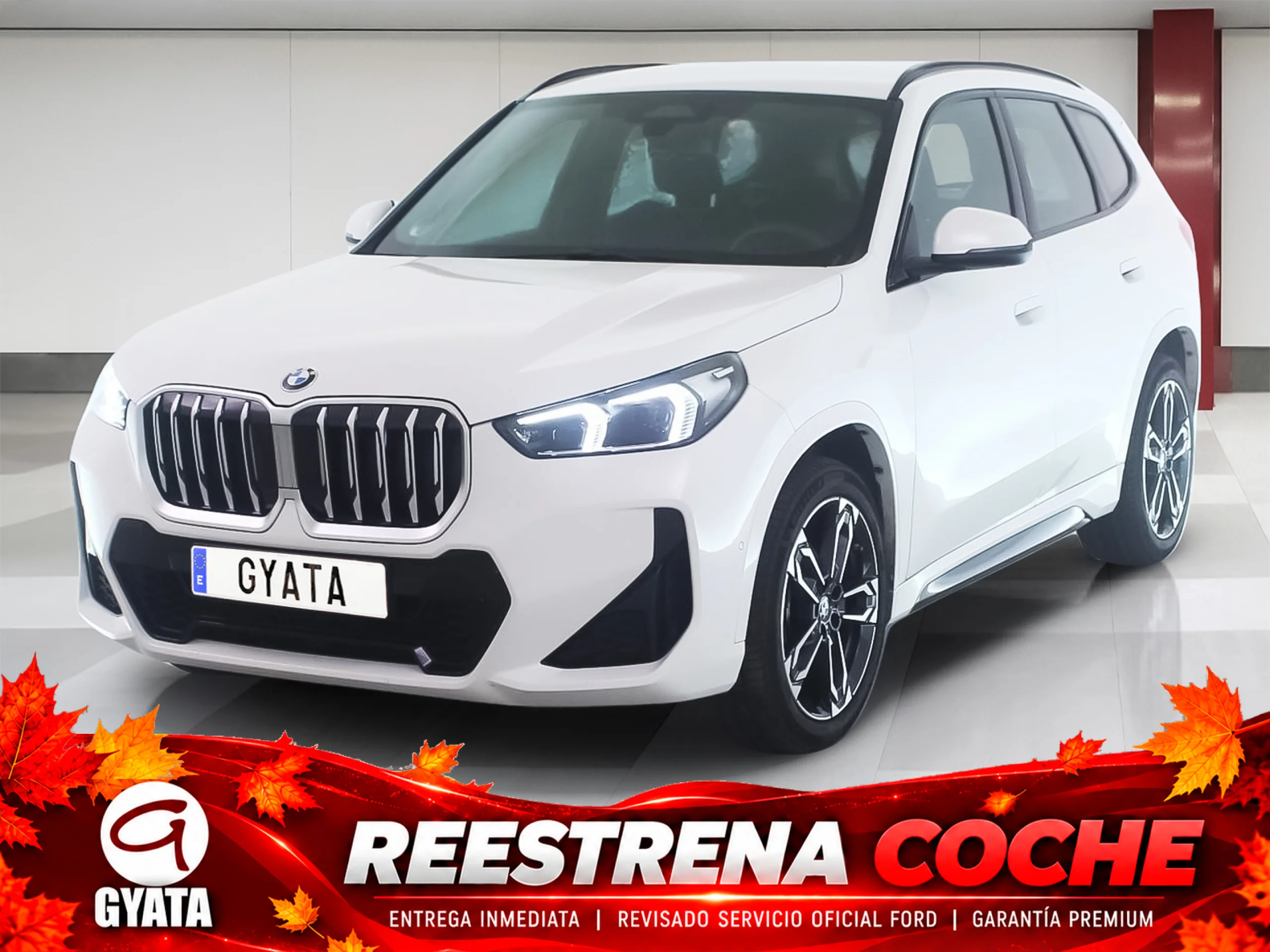 BMW X1 sDrive20d 120 kW (163 CV) - Foto 1