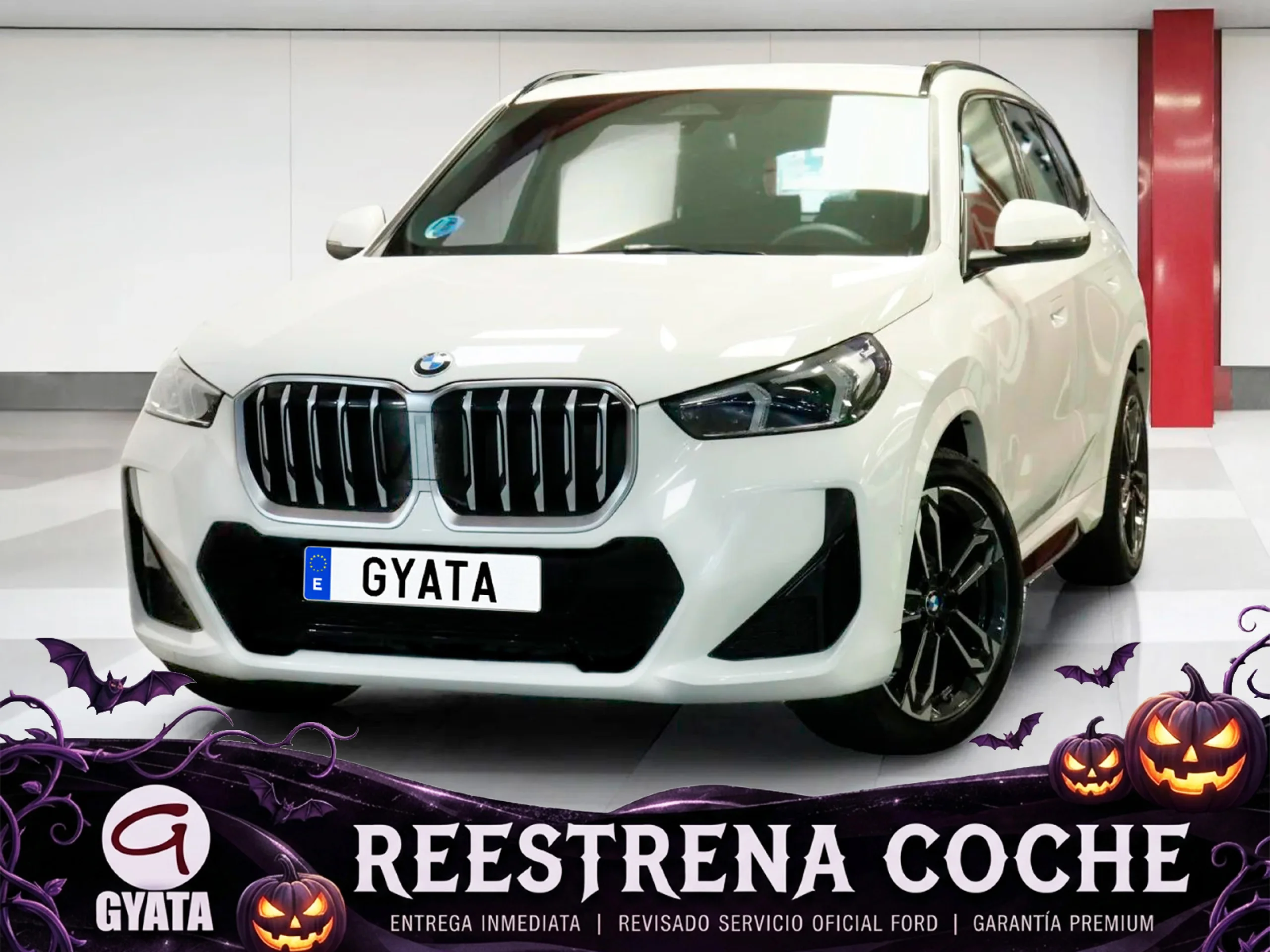 BMW X1 sDrive20d 120 kW (163 CV) - Foto 1