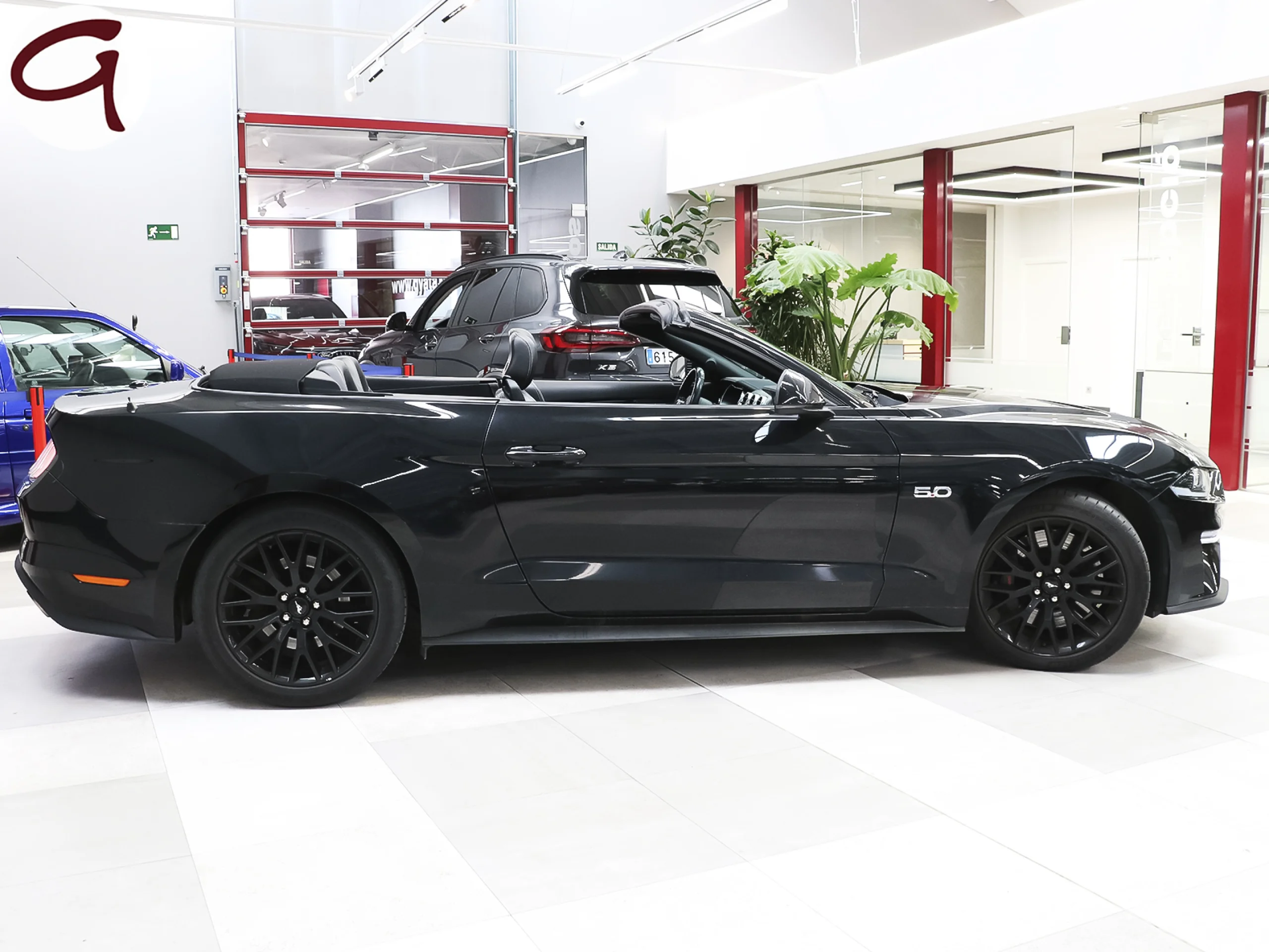 Ford Mustang 5.0 Ti-VCT V8 Convertible Mustang GT Autom. 331 kW (450 CV) - Foto 2