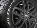 Thumbnail 48 del Ford Ranger Pickup 2.0 TDCI Doble Cabina Raptor 4x4 AT 157 kW (213 CV)