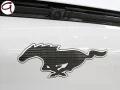 Thumbnail 37 del Ford Mustang Mach-E Premium AWD Batería 98.8Kwh 258 kW (351 CV)