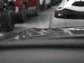 Thumbnail 18 del Ford Kuga 2.5 Duratec PHEV Active X 178 kW (243 CV)