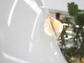 Thumbnail 40 del Fiat 500 Electrico Icon Hb 320km 87 kW (118 CV)