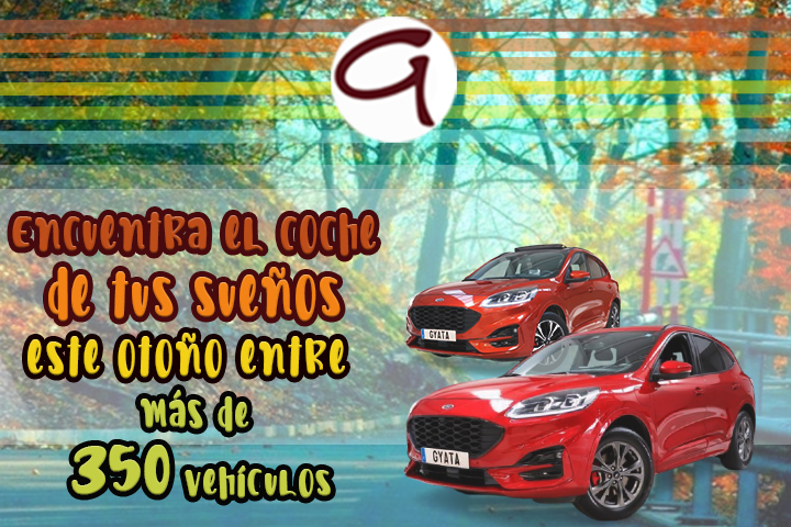 Promoción