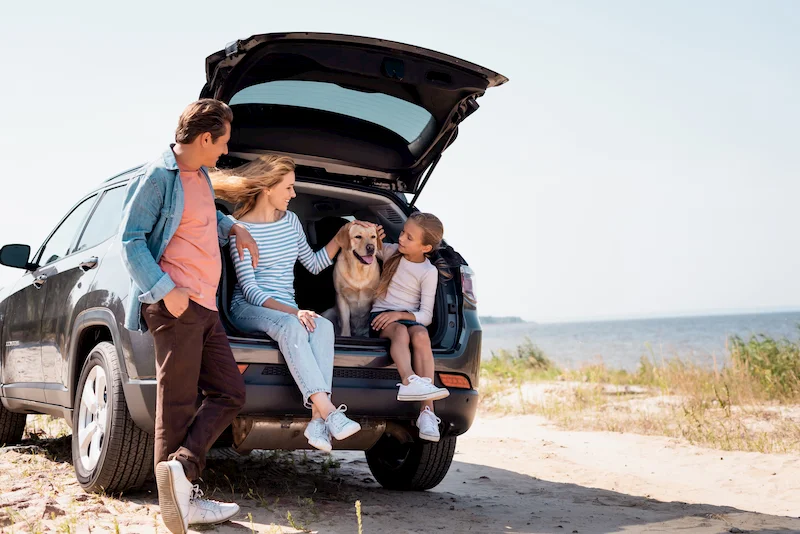 coche tipo suv de 7 plazas